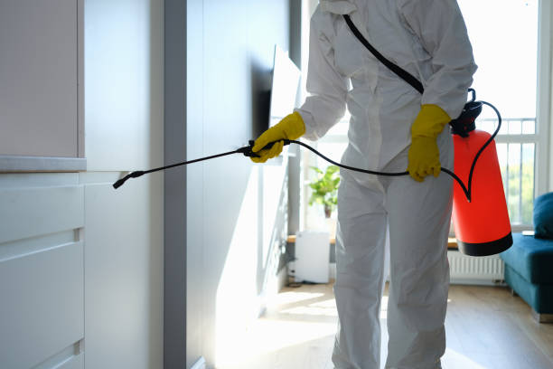 Best Office Mold Removal Services  in Blissfield, MI