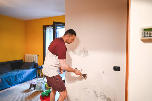 Best Black Mold Removal  in Blissfield, MI