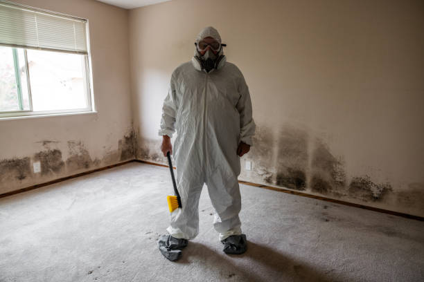 Best Commercial Mold Removal  in Blissfield, MI